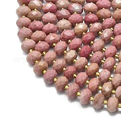 Natural Rhodonite Beads Strands&nbsp;G-P573-A39-01