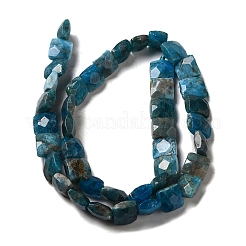 Natural Apatite Beads Strands&nbsp;G-C109-A13-02