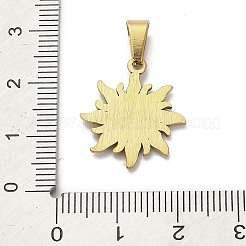 304 Stainless Steel Pendants&nbsp;STAS-Q343-13G