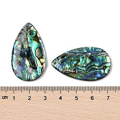 天然パウアシェルペンダント  ティアドロップチャーム  38x22x4mm  穴：1.5mm&nbsp;SSHEL-I026-08B