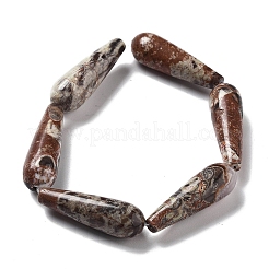 Natural Wealth Stone Jasper Beads Strands&nbsp;G-P528-H13-01
