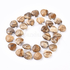 天然石ピクチャージャスパービーズ連売り  トップドリルビーズ  多面カット  ティアドロップ  13x13x5mm  穴：0.6mm  約30個/連  13.98インチ（35.5cm）&nbsp;G-G821-04A