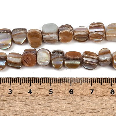 Natural Trochus Shell Beads Strands&nbsp;BSHE-Q050-01B-1