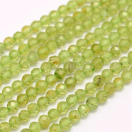 Natural Peridot Beads Strands G-F509-12-2mm-1
