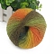 Gradient Color Wool Thread, Section Dyed Icelandic Wool Thread, Soft and Warm, for Hand-woven Shawl Scarf Hat, Colorful, 2mm