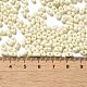 Baking Paint Glass Seed Beads&nbsp;SEED-K009-01A-22-4