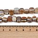 Natural Trochus Shell Beads Strands&nbsp;BSHE-Q050-01B-4