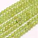 Natural Peridot Beads Strands&nbsp;G-F509-12-2mm-1