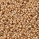 Baking Paint Glass Seed Beads&nbsp;SEED-P006-03A-24-3