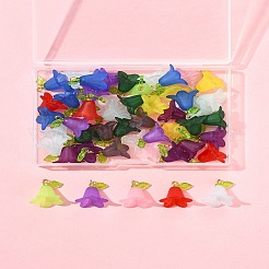 50Pcs Transparent Acrylic Pendants&nbsp;PALLOY-FS00043-05