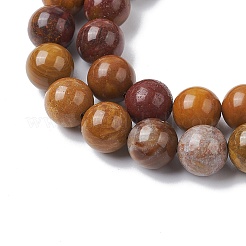 Natural Ocean Jasper Beads Strands&nbsp;G-C102-B01-03
