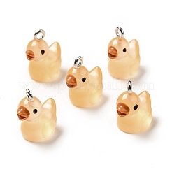 Luminous Translucent Resin Pendants&nbsp;RESI-A017-06