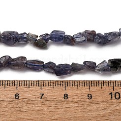 天然アイオライト/コーディエライト/ダイクロアイトビーズ連売り  ナゲット  5~9x4~6x3~4.5mm  穴：0.7mm  約75~89個/連  15.35''（39cm）〜15.94''（40.5cm）&nbsp;G-I389-A34-01B