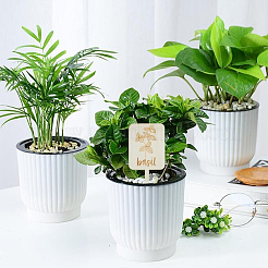 24Pcs Boxwood Plant Labels&nbsp;AJEW-SP0004-18