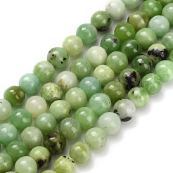 Natural Serpentine Beads Strands&nbsp;G-Z110-C04-4mm