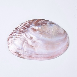 Natural Freshwater Pearl Shell Decoration&nbsp;SHEL-K002-01A