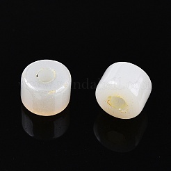 ガラスシードビーズ  セイロン  丸い穴  シリンダー  レモンシフォン  4x5.5mm  穴：1.8mm  約2500個/ポンド&nbsp;SEED-T008-01B