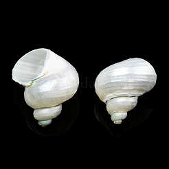 天然スパイラルシェルビーズ  穴がない  シェル  21~29x21~29x17~25mm&nbsp;SSHEL-N034-126