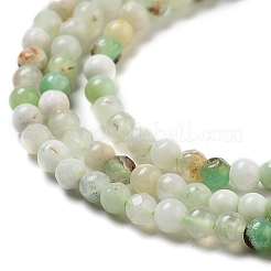 Natural Serpentine Beads Strands&nbsp;LS-G-G161-D24-01
