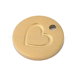 304 Stainless Steel Charms&nbsp;STAS-P377-04G-A