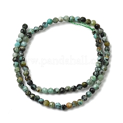 Natural African Turquoise(Jasper) Beads Strands&nbsp;G-H336-A06-04