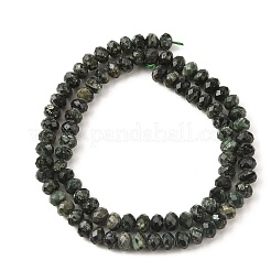Natural Seraphinite Beads Strands&nbsp;G-K376-E06-4x6mm