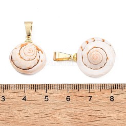 Natural Shiva Eye Shell Pendants&nbsp;PALLOY-JF05359