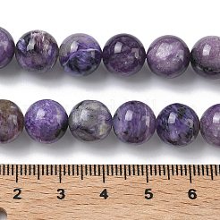 Natural Charoite Beads Strands&nbsp;G-C270-O02-10