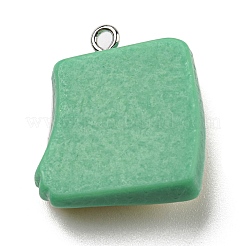 Opaque Resin Pendants&nbsp;CRES-D010-02C