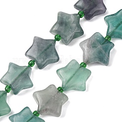 Natural Fluorite Beads Strands&nbsp;G-K359-E14