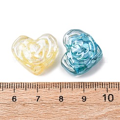 Transparent Resin & Natural Shell Beads&nbsp;RESI-B039-01B