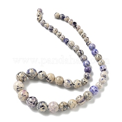 Natural Fossil Graduated Beads Strands&nbsp;G-F830-A03-01D