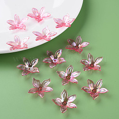 Transparent Acrylic Beads&nbsp;MACR-S373-102-C01