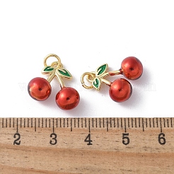 Brass Enamel Charms&nbsp;KK-D336-06G-04