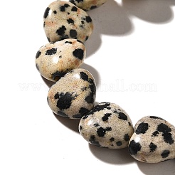 Natural Dalmatian Jasper Beads Strands&nbsp;G-R190-10mm-63