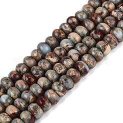 Natural Shoushan Stone Beads Strands&nbsp;G-Q606-98