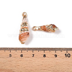 天然石海シェルペンダント  金色の鉄製ループが付いた貝殻型のチャーム  砂茶色  22~31x7~10x7~10mm  穴：1.8~2.5mm&nbsp;SSHEL-N038-34