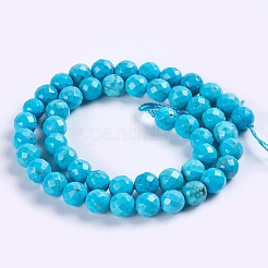 Natural Howlite Beads Strands&nbsp;TURQ-P027-40