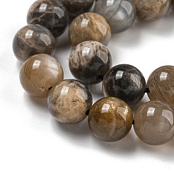 天然石ブラックムーンストーンビーズ連売り  ラウンド  8mm  穴：1.2mm  約46個/連  15.55''（39.5センチメートル）&nbsp;G-Q183-A01-01