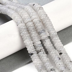 Natural Labradorite Beads Strands&nbsp;G-Q159-B10-01