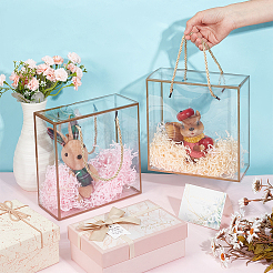 Transparent PET Plastic Gift Box&nbsp;LS-AJEW-WH0166-06A-02