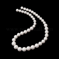 Electroplated Shell Pearl Graduated Beads Strands&nbsp;SH-CBA8E5B-02