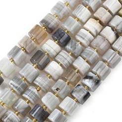 Natural Botswana Agate Beads Strands&nbsp;G-K245-C17