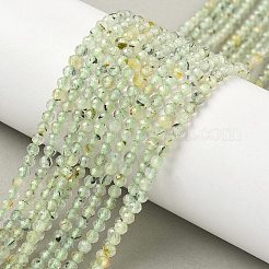 Natural Prehnite Beads Strands&nbsp;G-S300-12-3mm-01