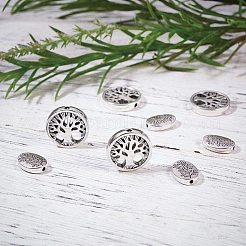 Tibetan Style Alloy Beads&nbsp;PH-TIBEB-G010-03AS