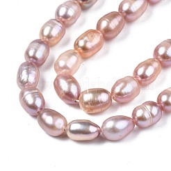 天然養殖淡水パールビーズ連売り  ライス  プラム  7.5~11x6~7.5mm  穴：0.8mm  約37~43個/連  14.06インチ〜14.29インチ（35.7cm〜43cm）&nbsp;X-PEAR-N012-06A
