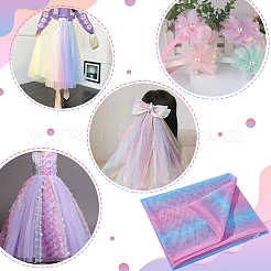 Rainbow Color Polyester Mesh Fabric&nbsp;DIY-WH0504-162A