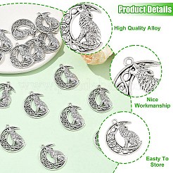 15Pcs Tibetan Style Alloy Pendants&nbsp;FIND-YW0011-12