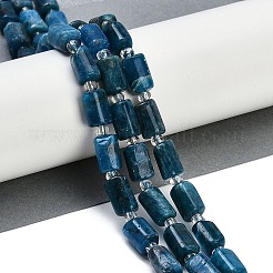 Natural Apatite Beads Strands&nbsp;G-G162-D10-01