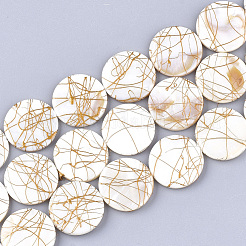 Freshwater Shell Beads Strands&nbsp;SHEL-S274-62F